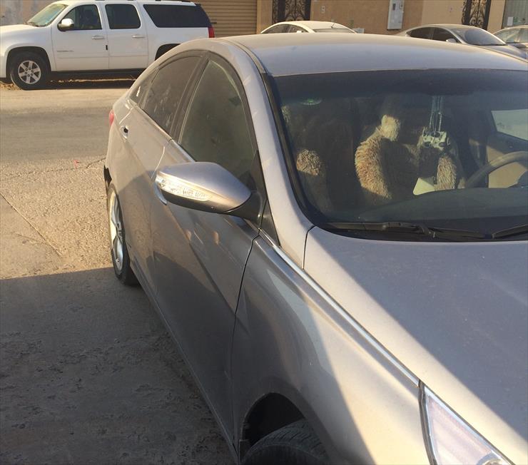 الرياض 2